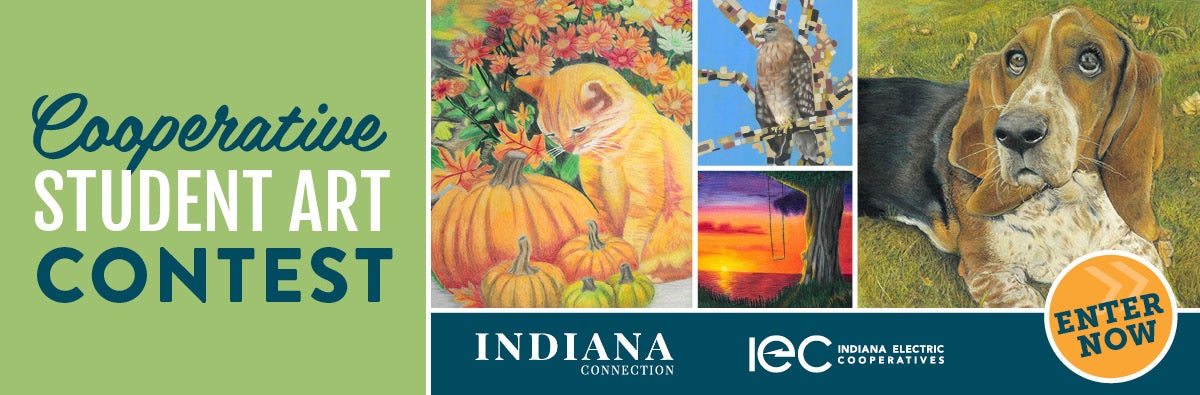 Cooperative Student Art Contest
